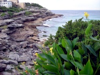 Sydney - Bondi Beach Costal Walk