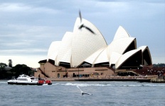 Sydney Harbour - Opera House
