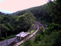 Royal National Park - Otford Trail Station