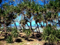 Great Barrier Reef - Lady Elliot Island - Reef Unit View