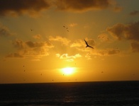 Great Barrier Reef - Lady Elliot Island - Sunset