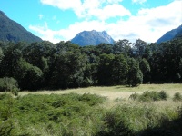 Milford Track - To Clinton Hut