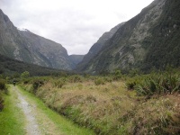 Milford Track - To Mintaro Hut