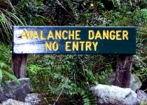 Milford Track - To Mintaro Hut