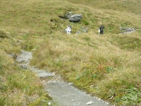 Milford Track - McKinnon Pass Descending 