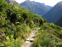 Milford Track - McKinnon Pass Descending