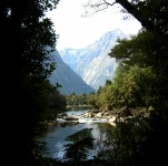 Milford Track - Vista Views