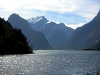 Milford Sound Scenes