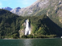 Milford Sound Scenes