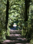 Milford Track - Start