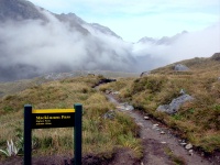 Milford Track - McKinnon Pass