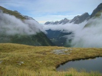 Milford Track - McKinnon Pass