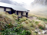 Milford Track - McKinnon Pass - Pass Hut