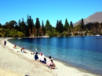 Queenstown Scenes