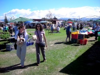 Marlborough Farmers Market