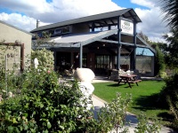 Marlborough Wine Region - Forest