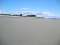 Nelson  - Tahunanui Beach