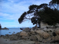 Abel Tasman National Park -  Fishermans Island