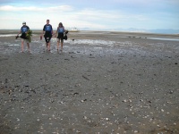 Abel Tasman National Park -  Returning Kayaks to Marahau Beach