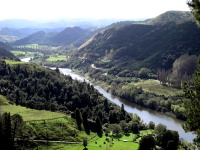 Wanganui River Road