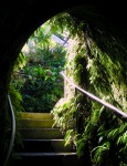 New Plymouth - Pukekura Park