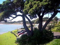 New Plymouth - Sea Front