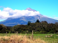 Mt. Egmont National Park