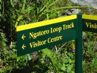 Mt. Egmont National Park