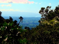 Mt. Egmont National Park