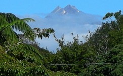 New Plymouth - Pukekura Park