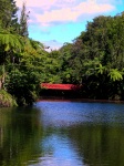 New Plymouth - Pukekura Park