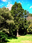 New Plymouth - Pukekura Park