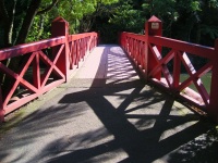 New Plymouth - Pukekura Park