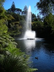 New Plymouth - Pukekura Park