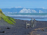 West Coast - North Island - Hwy 3