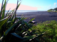 West Coast - North Island - Hwy 3