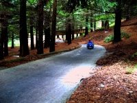 Rotorua - Skyline Gondola Ride - Luge 