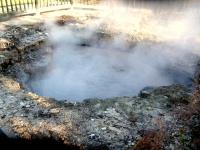 Rotorua - City Park