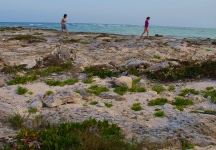 Tankah Bay Scenes 