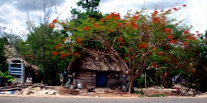 Small Village Scenes