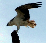 Tankah Bay Scenes