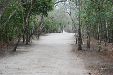 Cob - 3 KM of Trail