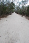 Cob - 3 KM of Trail