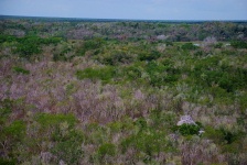 Coba - Nohoch Mul Pyramid View from the Top