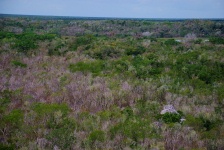 Coba - Nohoch Mul Pyramid View from the Top