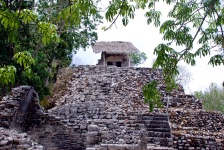 Cob - Group of the Paintings Structure