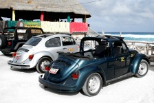 Cozumel Island Tour