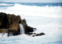 Cozumel Island Tour