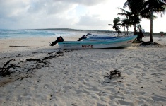 Cozumel Island Tour