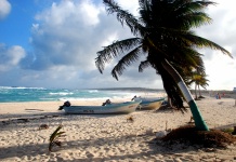 Cozumel Island Tour